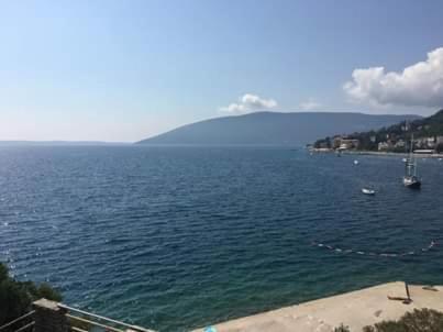 Pansion Mimoza Bed & Breakfast Herceg Novi Exterior foto